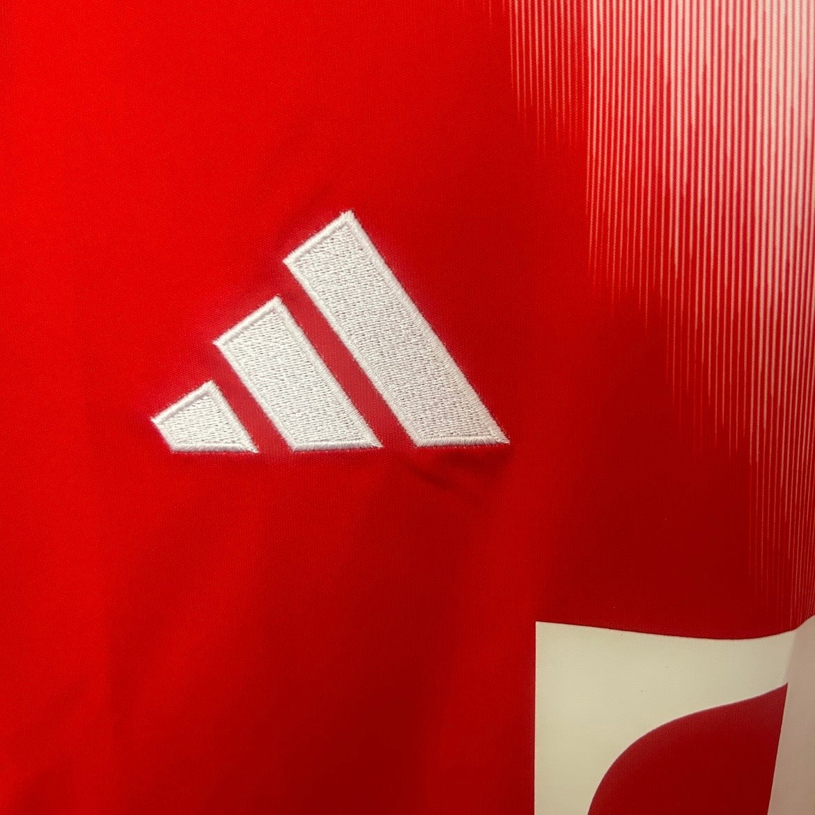 Maillot Bayern Munich FCB Concept 2025 N°1 détail design exclusif