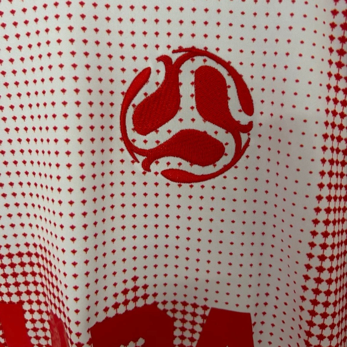 Maillot Canada Concept 2026 N°1 zoom collector