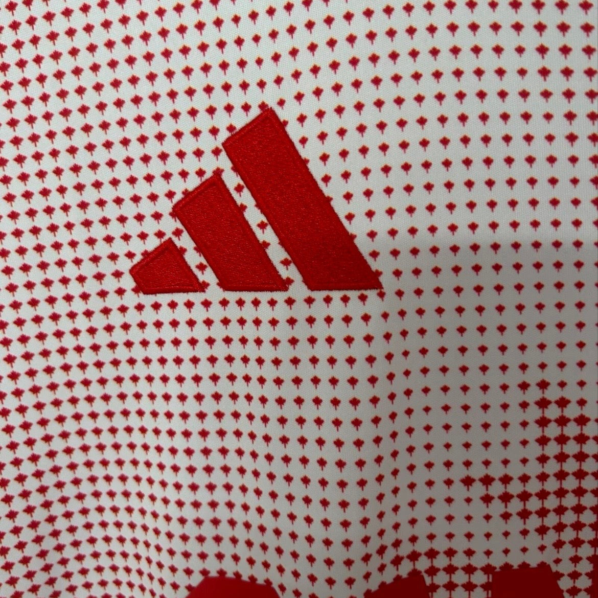 Maillot Canada Concept 2026 N°1 détail design exclusif
