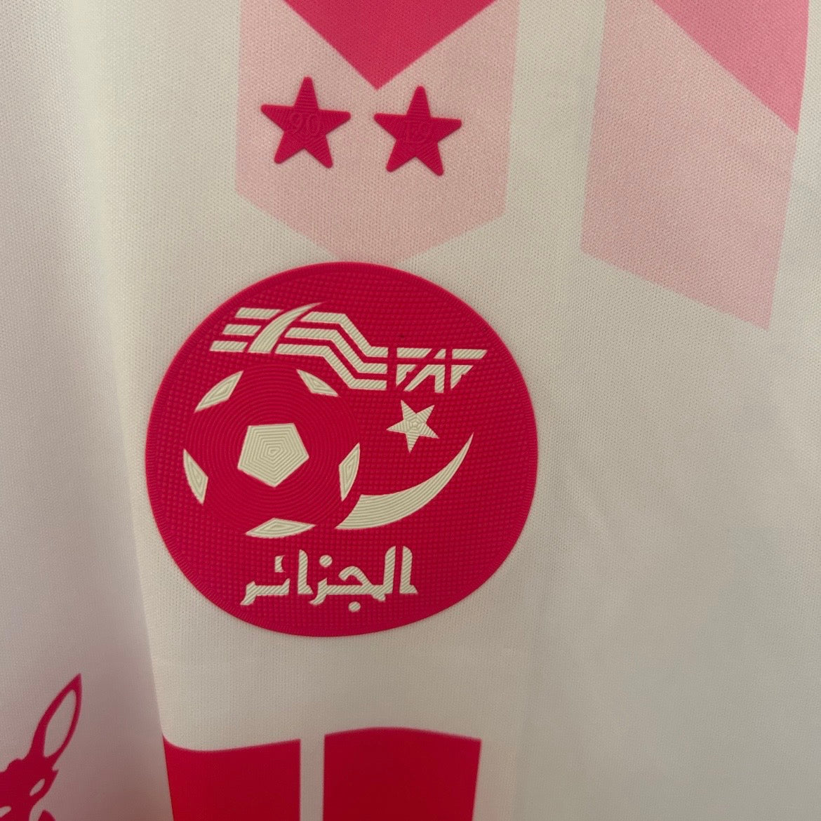 Maillot Algérie Concept 2025 N°2 détail design exclusif